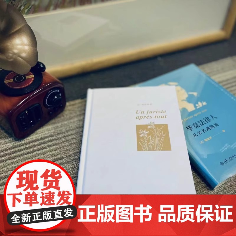 新华正版 毕竟法律人:从未名到凯旋 一部集自传、政经评论和法律评论于一体的随笔集 陶景洲著 北京大学出版社9787301高清大图