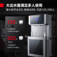 德玛仕 DEMASHI 直饮水机 商用学校烧水机学校用开水器不锈钢直饮机商用净水器 YT-3HY(两开一温)