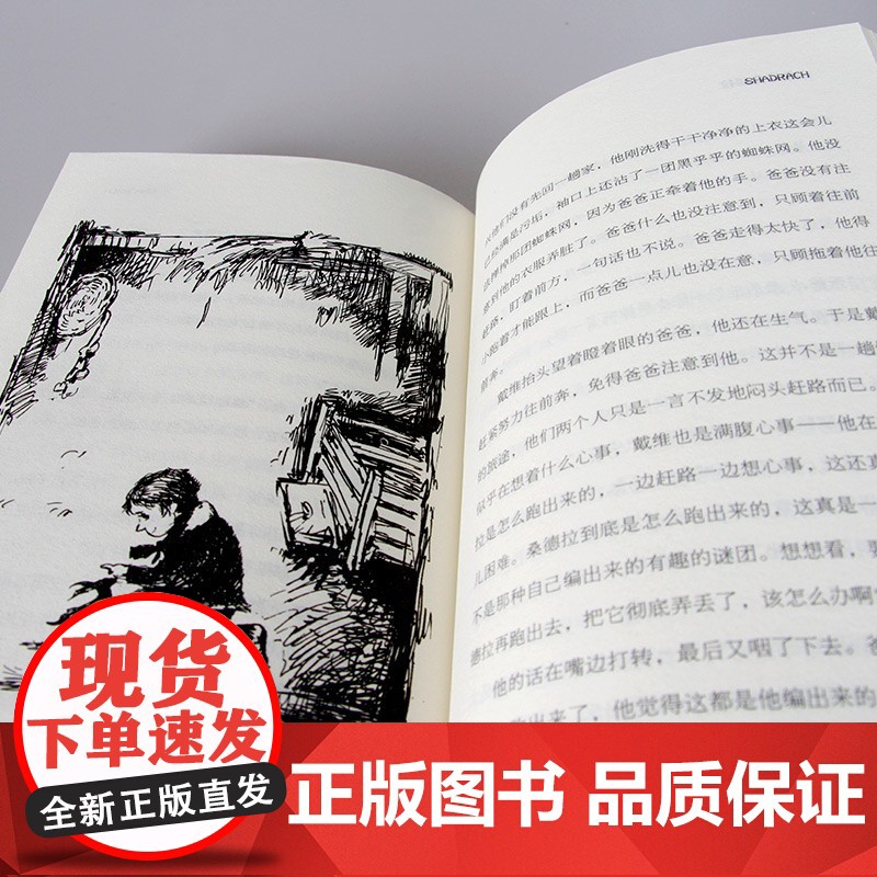 正版 小兔子桑德拉 长青藤国际大奖小说 7-9-10-12-14外国儿童文学动物小说童话故事书成长教育二三四五六年级小学高清大图