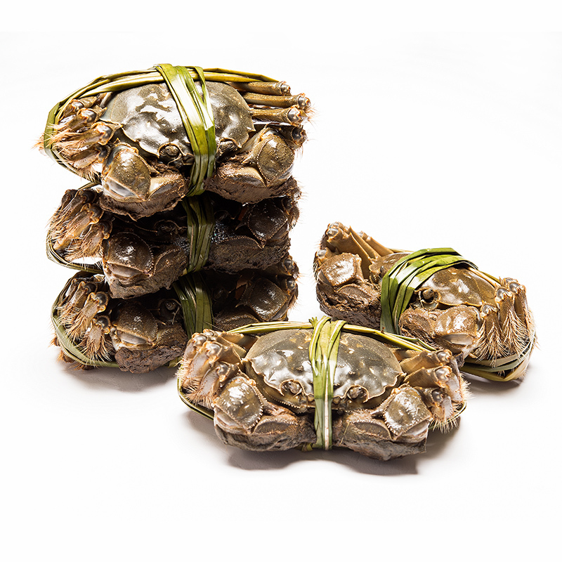 顺丰空运蟹乡渔舍六月黄大闸蟹15两6只鲜活公母螃蟹