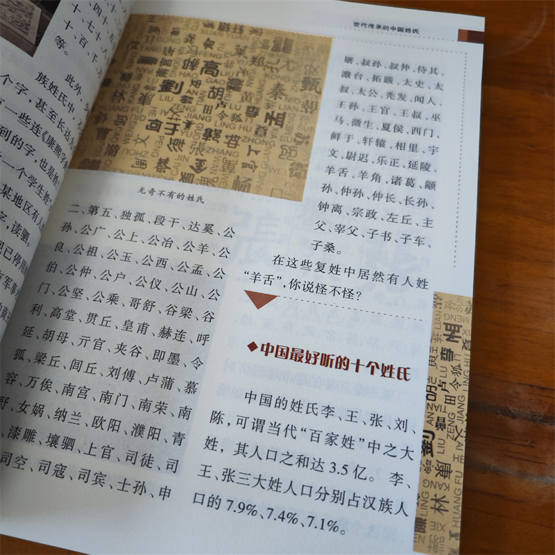 [正版]世代传承的中国姓氏流光溢彩的中华民俗文化 彩色图案版 中华姓氏源于上古 延续至当代 百家姓 倡导传承和保护中华姓高清大图