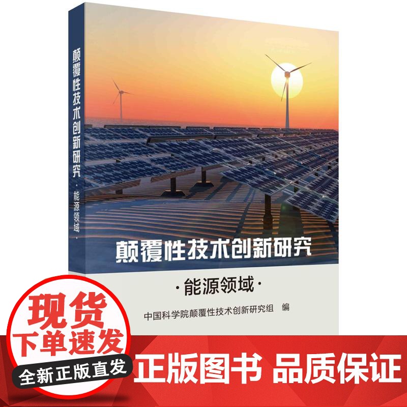 [按需印刷] 颠覆性技术创新研究——能源领域高清大图