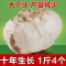 [十年生长]陇卉甘肃兰州新鲜百合500g<2袋4个果>现挖新货天然新鲜百合蔬菜