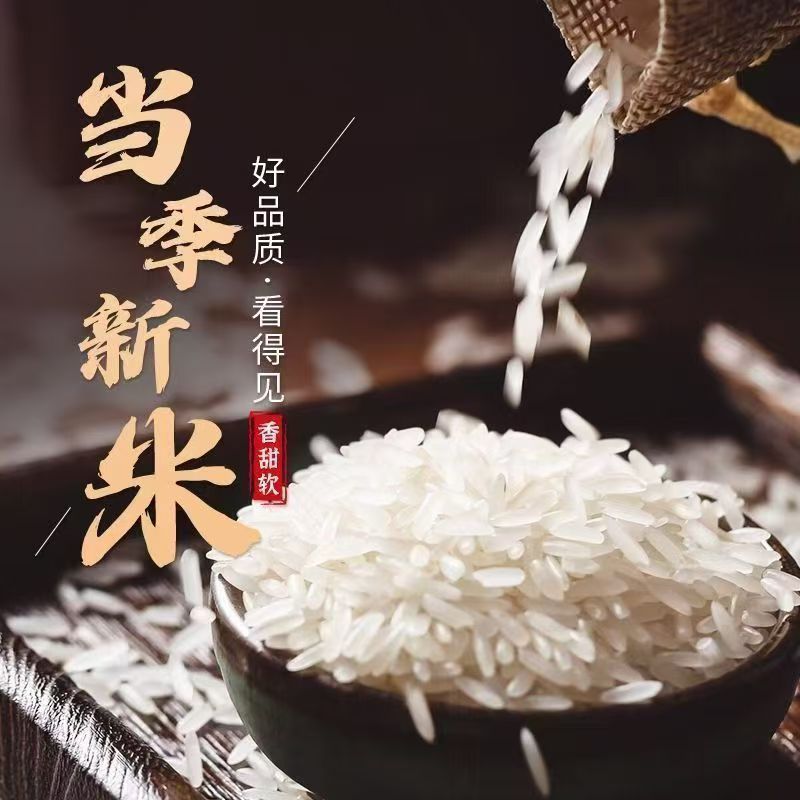 2025年新米长粒香象牙米软糯香甜粒粒分明新鲜大米高清大图