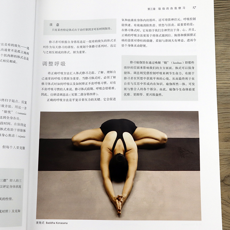 [正版]瑜伽的力量 娅米妮穆萨那著瑜伽基本知识室内运动美体减肥普拉提DK哈达瑜伽之光冥想书籍印度瑜伽艾扬格做序之树体能高清大图