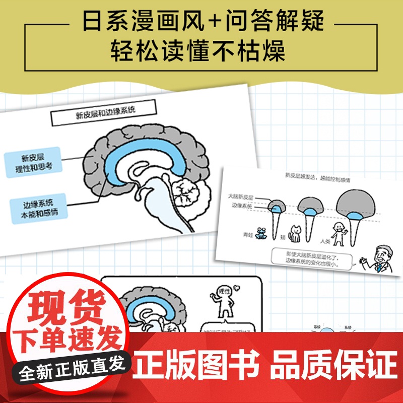 漫画基础医学:读懂解剖生理学 林洋 中国轻工业出版社 正版书籍高清大图