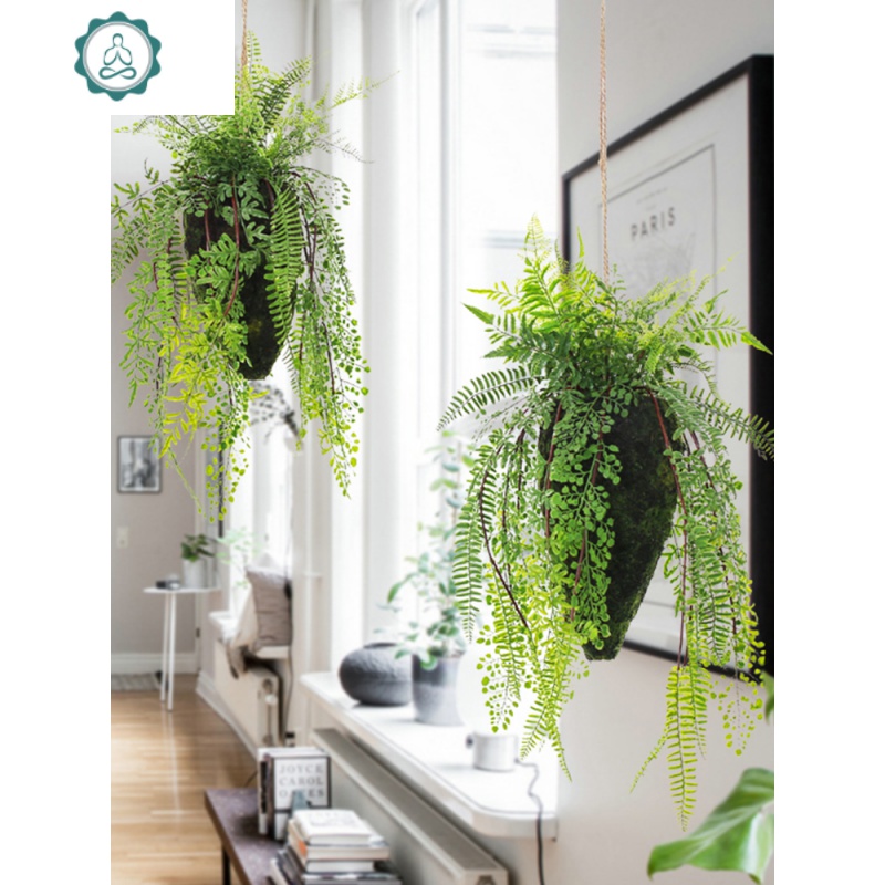 北欧仿真藤蔓植物壁挂室内客厅墙面悬挂装饰绿植垂吊盆栽花艺摆设封后白雪莲款 送吊线 仿真植物图片 高清实拍大图 苏宁易购