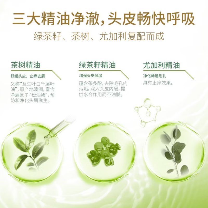 舒蕾绿茶籽控油去屑洗发露500毫升高清大图