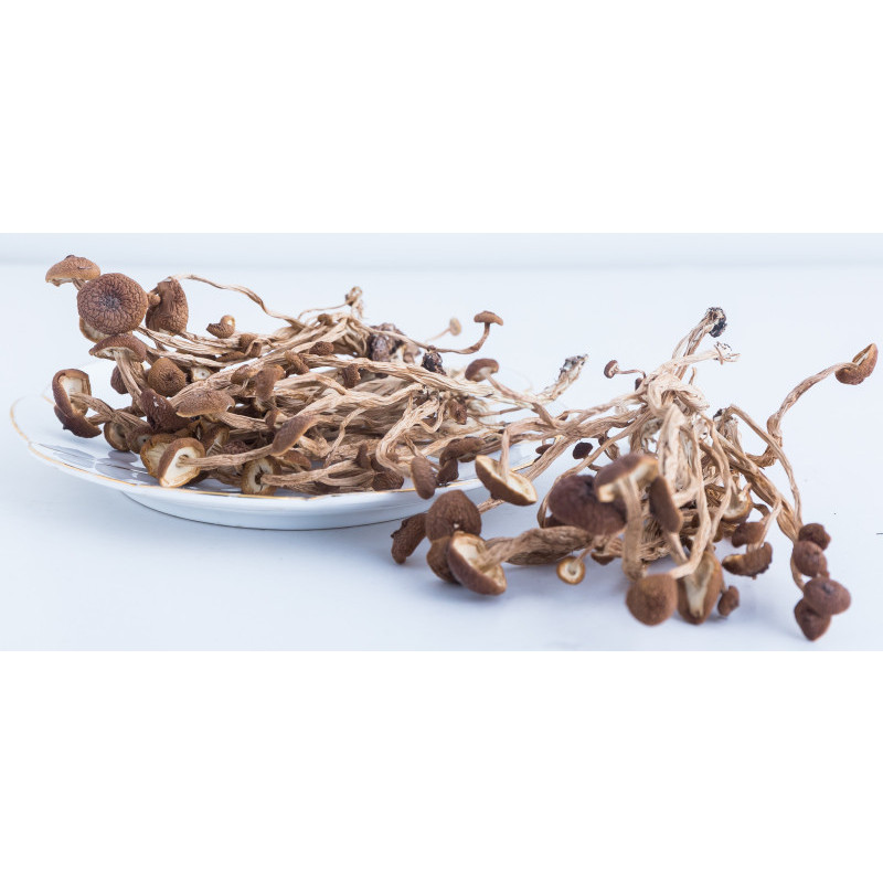 山海小将 特级茶树菇250g