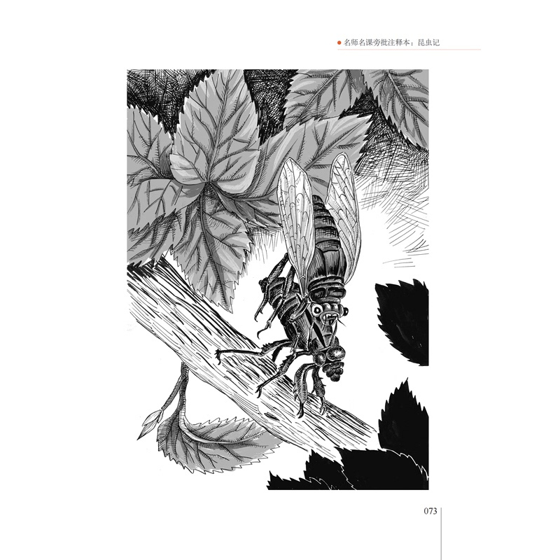 昆虫记 [正版]昆虫记华语教学出版社法布尔2023年广东朝阳读书七年级书香河南贵州书香黔贵笔墨书香经典阅读课外书必读