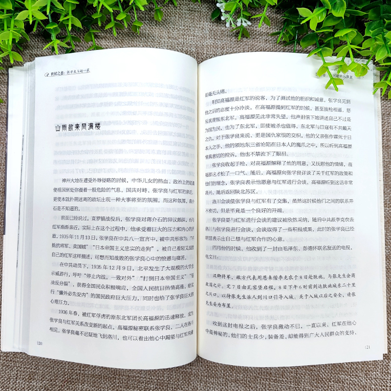 [正版]民国爱情传奇世纪之恋-张学良与赵一荻时代背景下亲情爱情散文精选集 张学良与赵一荻散文集小说书籍现当代文学作品课外