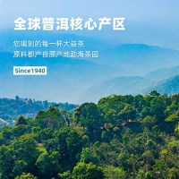 大益普洱茶7572熟茶(2009年)熟普357g七子饼茶云南茶叶905/906/907随机