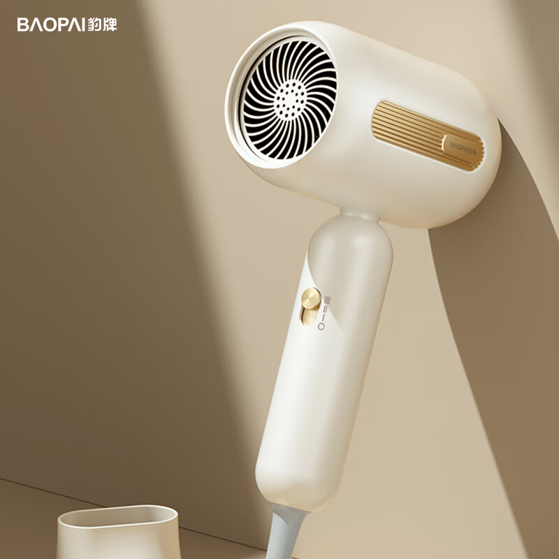 豹牌 家用高转速马达低噪音高速电吹风 BP-HD295高清大图