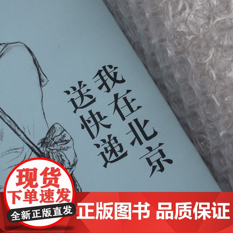 我在北京送快递 胡安焉 著 我在物流公司上夜班的一年 “底层”打工人的十年 纪实文学 非虚构作品集 浦睿文化 正版书籍高清大图