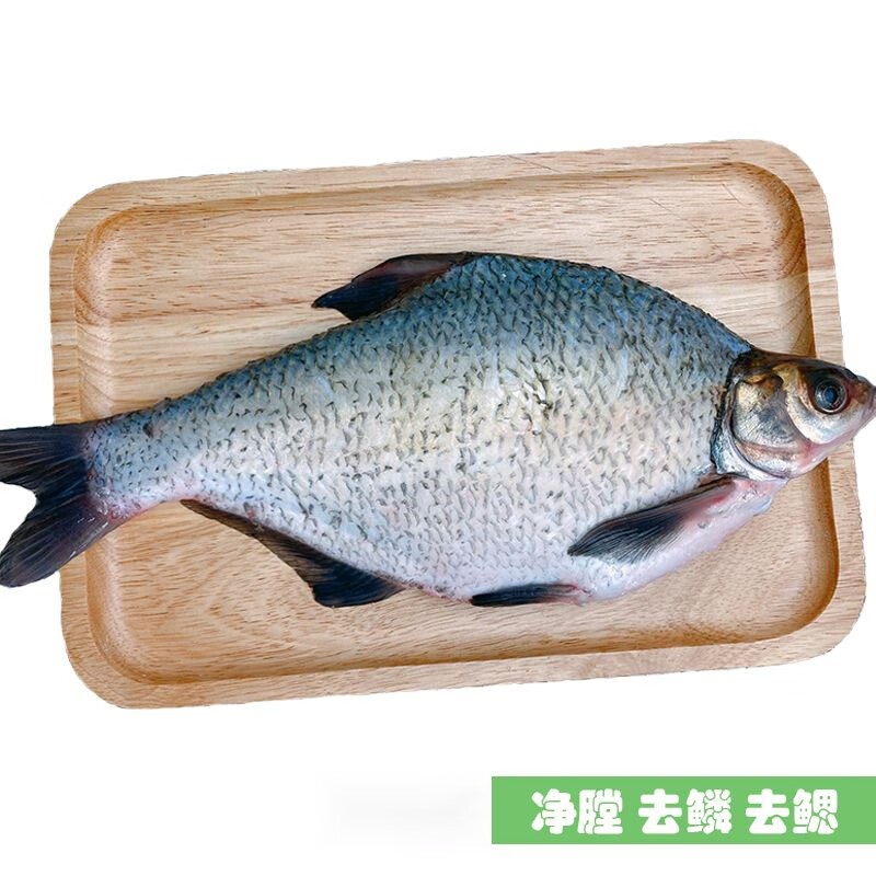 鳊鱼 (活鱼现杀)袋装500g高清大图