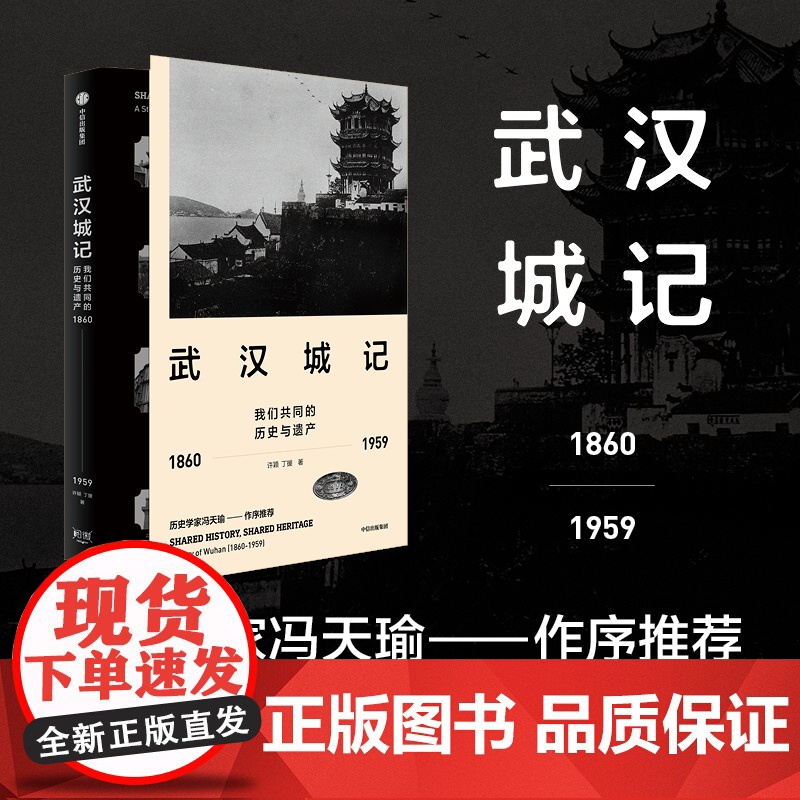 武汉城记 许颖 著 社会科学高清大图