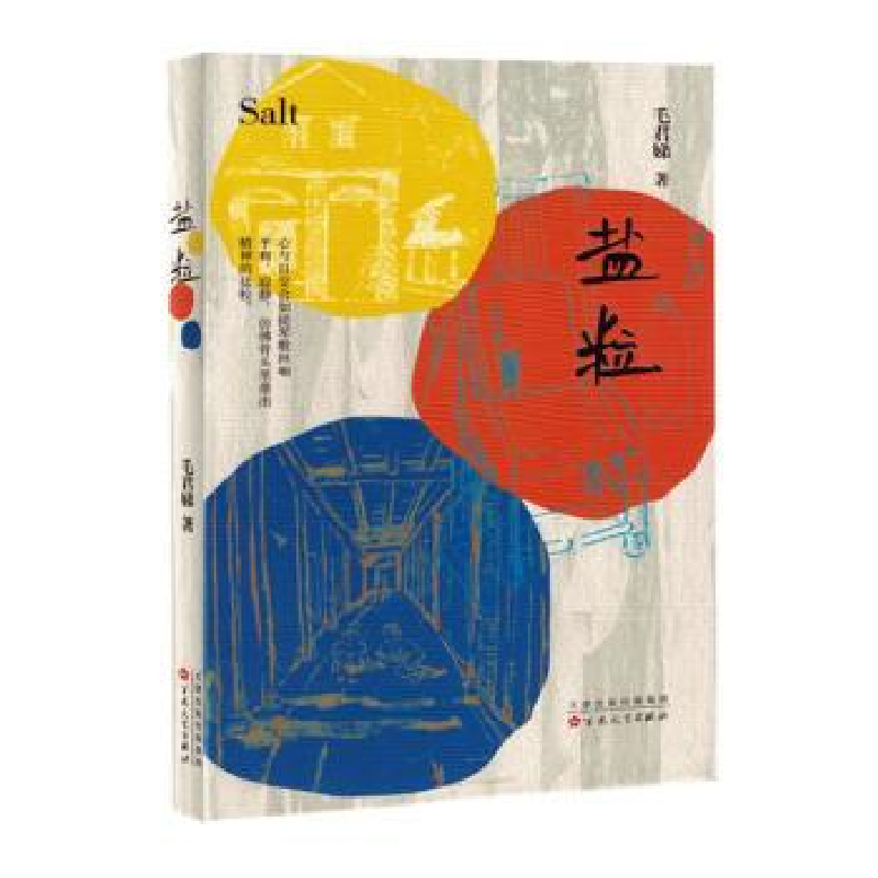 正版新书】盐粒毛君娣著9787530687376