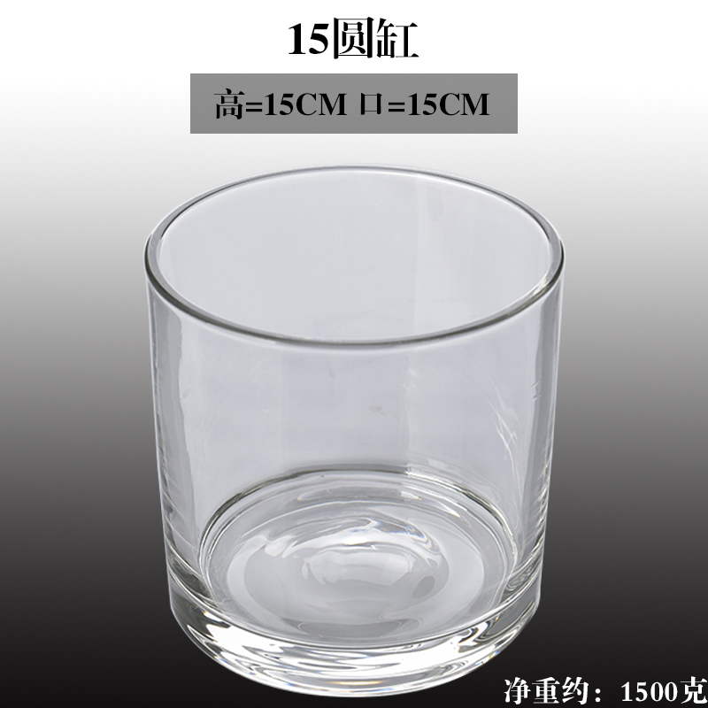 水培器皿创意玻璃花盆水养植物瓶透明花器绿萝白掌花瓶正方形容器