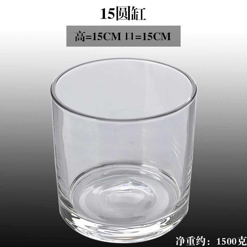 水培器皿创意玻璃花盆水养植物瓶透明花器绿萝白掌花瓶正方形容器图片