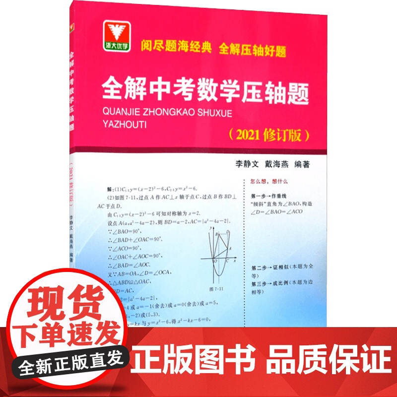 全解中考数学压轴题 2021修订版 李静文等 著 中小学教辅高清大图