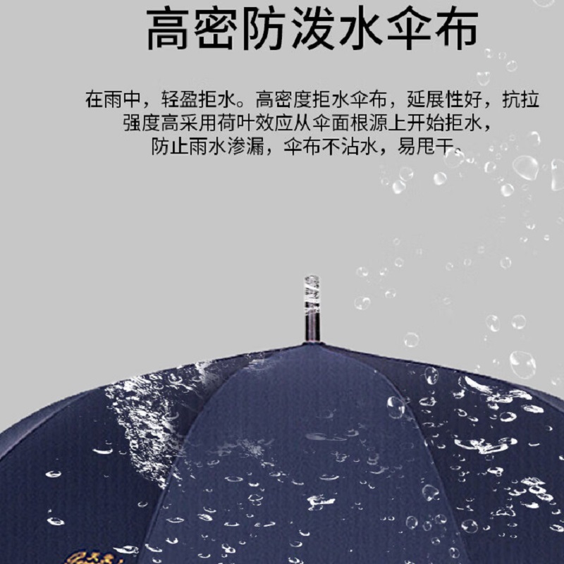 天堂伞(HWM) 加大加固 全遮光70cm*10骨直杆商务伞193E高清大图