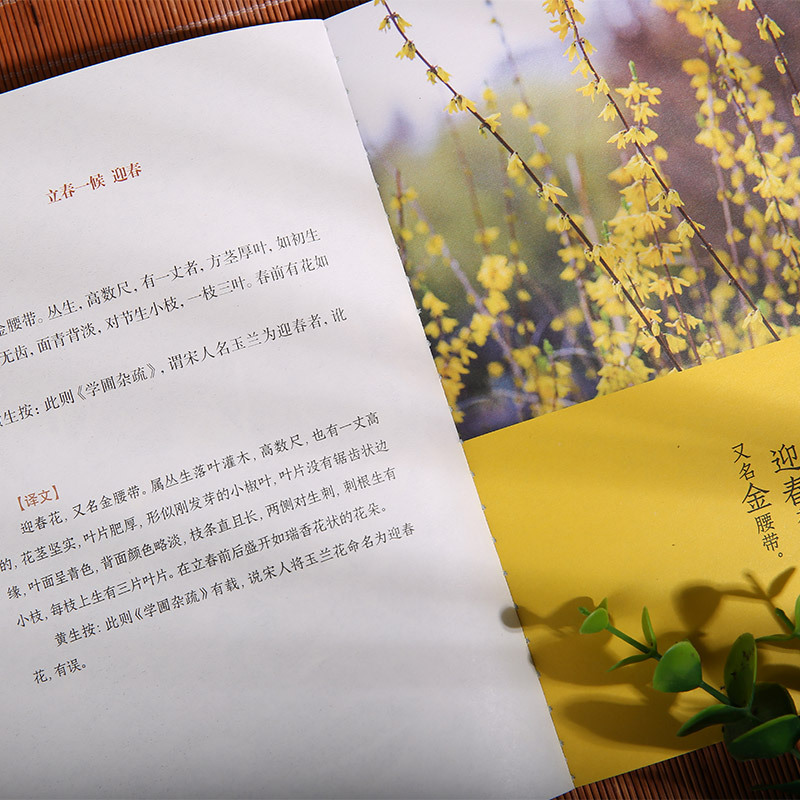 [正版]时节气候抄(全4册)插图版古籍新解二十四节气文化的百科全书时节与气候解读健康养生书中医书籍养生智慧中医学文化大众