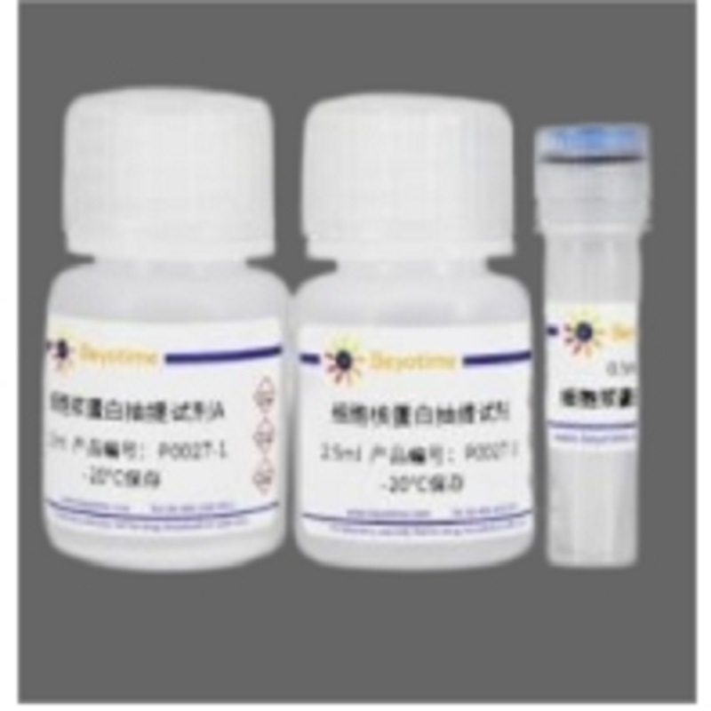Beyotime RIPA裂解液(强中弱套装) P0013E