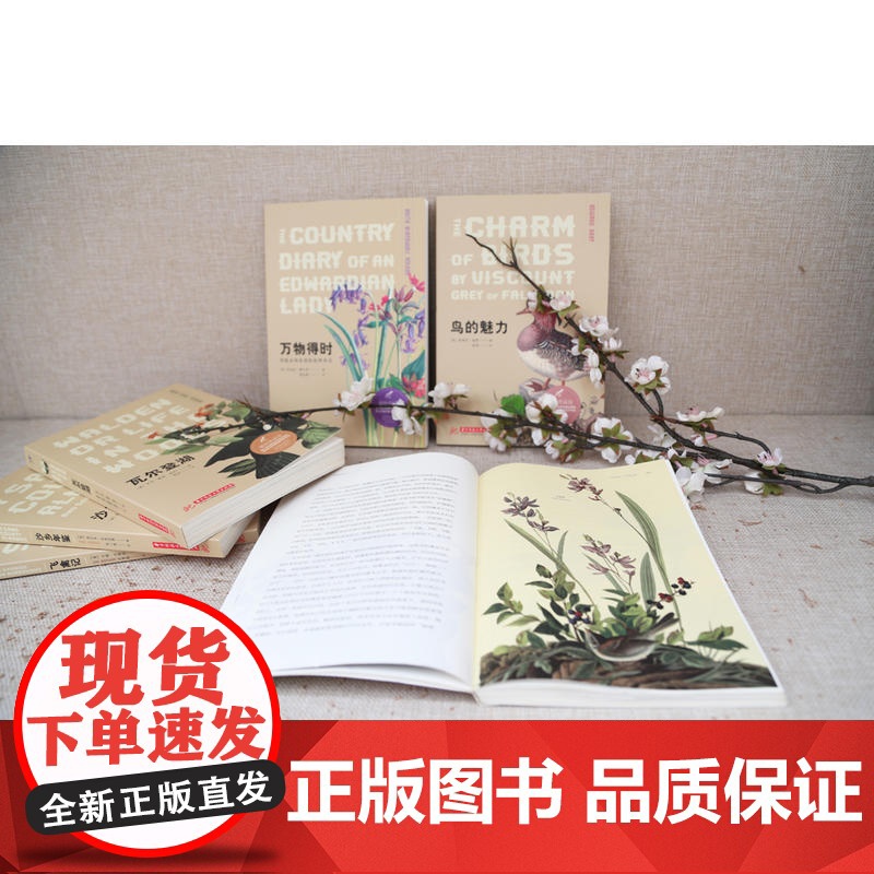 万物得时:写给乡间生灵的自然手记(博物图鉴版)高清大图