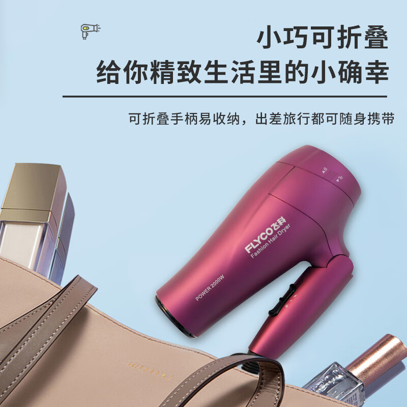 飞科 FLYCO 电吹风机负离子护发家用磁吸卡扣随机发货可折叠FH6276 白色1800W高清大图