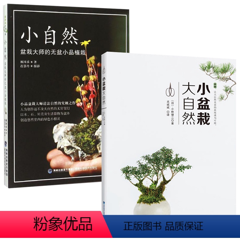 【正版】2册 小盆栽 大自然+小自然:盆栽大师的无盆小品植栽 小品盆景47例我的迷你花园图解四季组合设计与制作花园盆