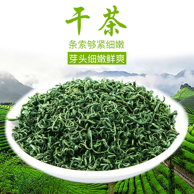 福岗绿茶2024新茶叶散装袋装绿茶碧螺春浓香型250g
