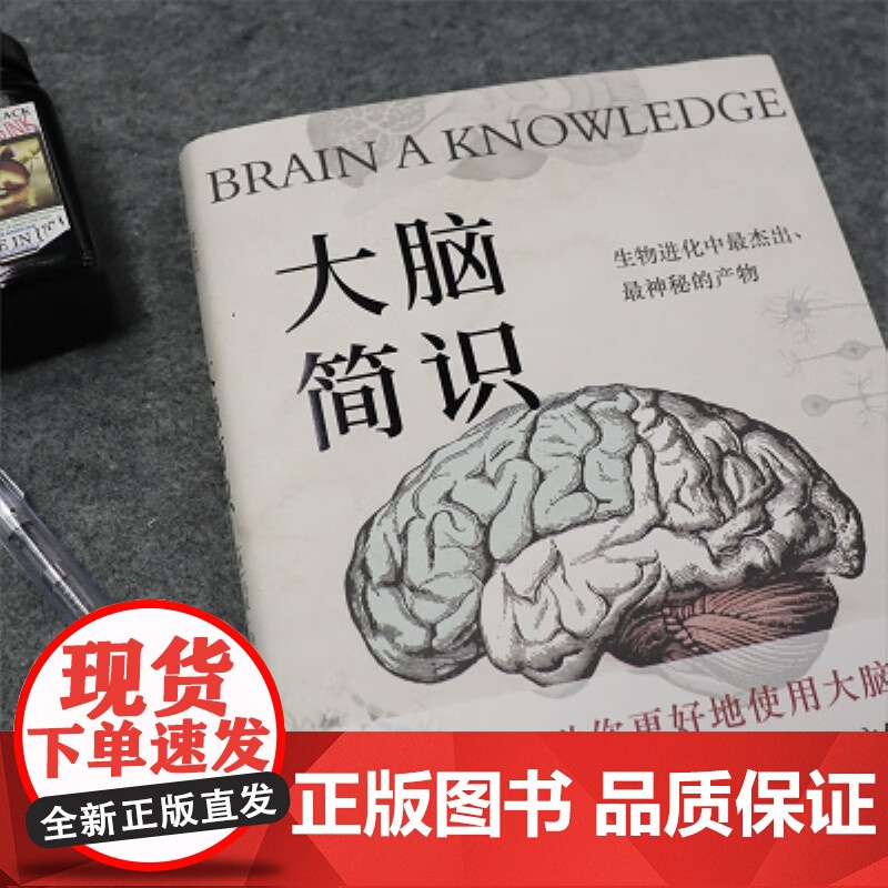 大脑简识 马克·马格里尼 著 科普读物高清大图
