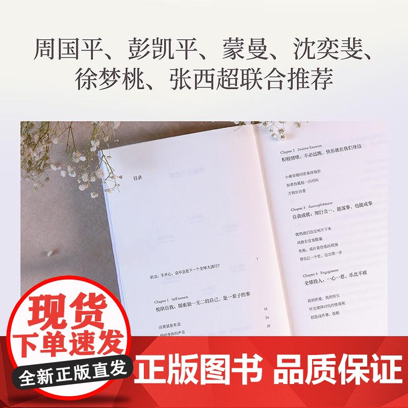 幸福力 杨澜 习得幸福的能力 创造海阔天空 一本可以改善认知 真正实践的幸福提案 果麦文化高清大图