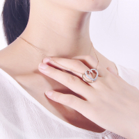 SWAROVSKI 施华洛世奇 双心项链 时尚妩媚锁骨链女 5194826