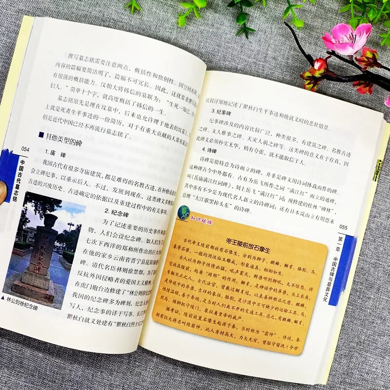 [正版] 中国古代墓志铭 墓志铭精选古代墓志铭发展七元 洛阳古代考古石刻图录汇集 碑刻石刻中国历史文物考古文化研究历史类高清大图