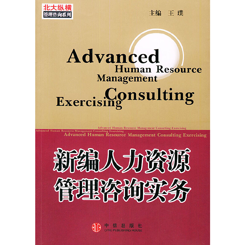 正版新书]新编人力资源管理咨询实务王璞9787508603735高清大图