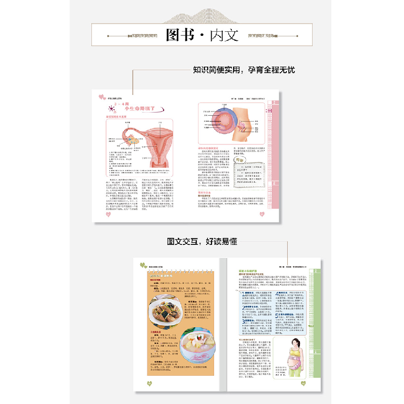 醉染图书怀孕 分娩 育儿百科(新版)9787530887158高清大图