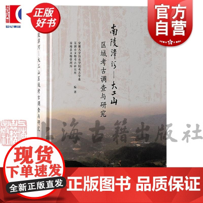 南陵漳河 大工山区域考古调查与研究 安徽大学历史学院考古学系芜湖市文物考古研究所南陵县文物管理所编著张爱冰编上海古籍出版