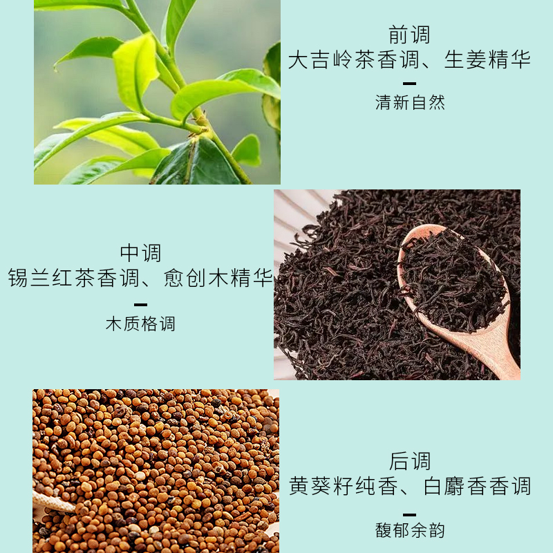 宝格丽(BVLGARI)大吉岭茶淡香水50ml木质调中性香 白衬衫香水