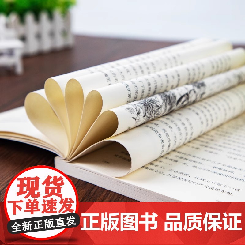 正版童书 外婆生命的光亮伍剑写给儿童的生命教育小说三四五六年级中小学生课外名著阅读6-8-12岁少儿经典文学书目故事书籍高清大图