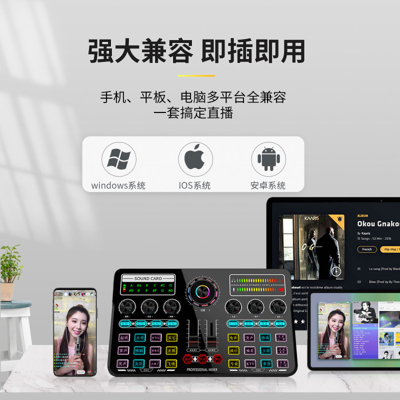 波格朗(POGLIAR)直播声卡抖音快手全民K歌网红唱歌手机电脑通用声卡全天播专业调音设备套装一键降噪美音