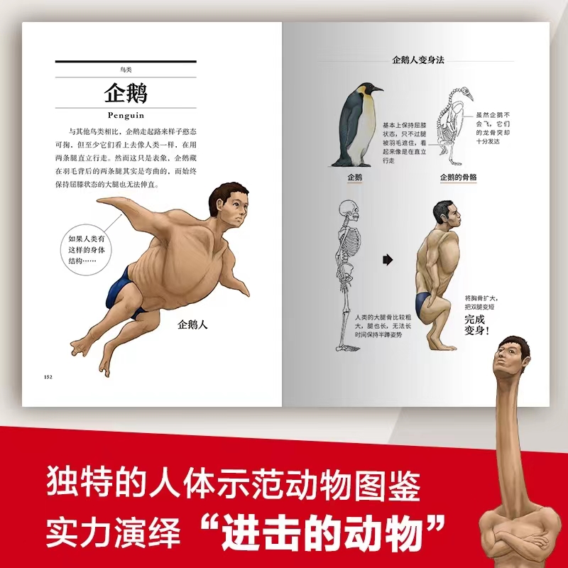 [正版]随机书签 跟动物交换身体日本古生物研究者川崎悟司动物身体结构 科普版进击的巨人 生物进化奥秘小学生动漫科普书高清大图