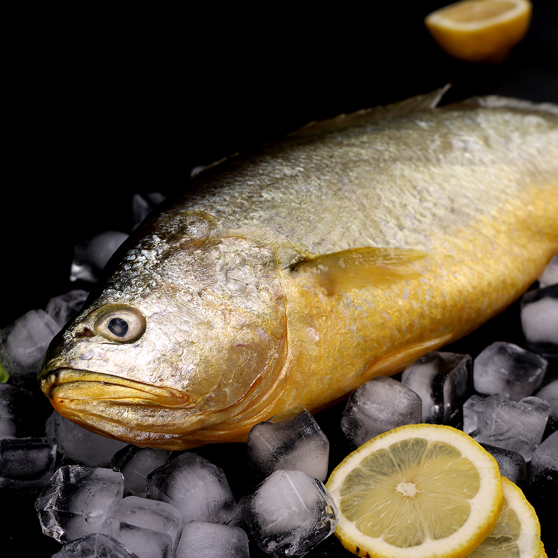 星龙港 1000g 鲜活捕捞大黄鱼礼盒 1条高清大图