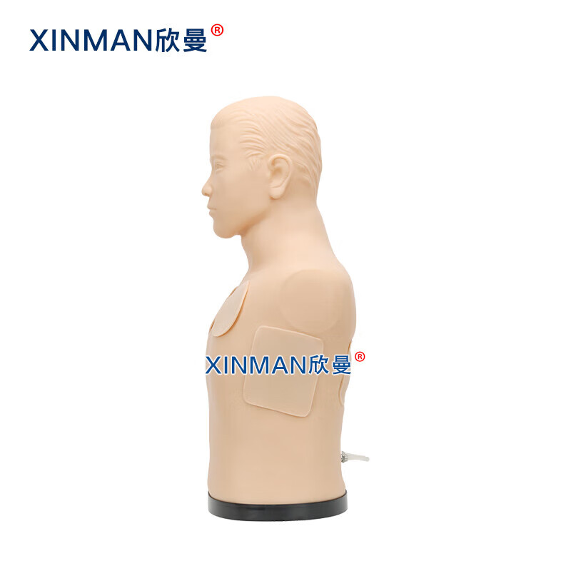 欣曼科教 胸腔穿刺引流模型 胸腔穿刺模拟训练模块XM-2021高清大图