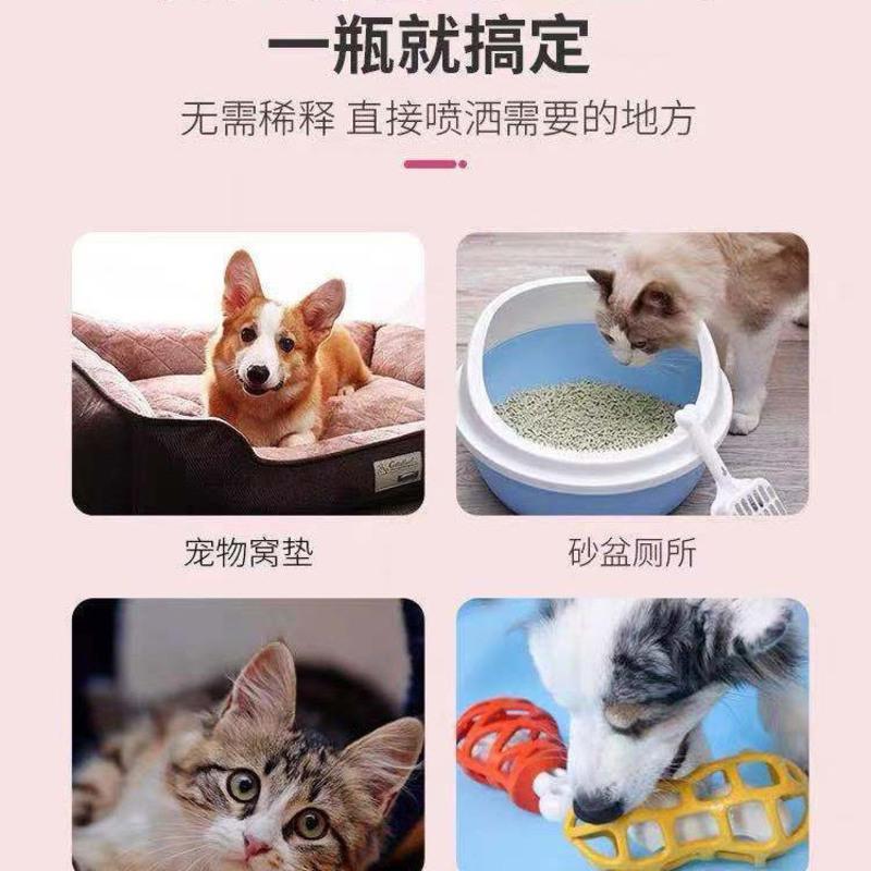 宠物通用型 1瓶体验装500ml 宠物除臭剂喷雾室内猫咪狗狗去尿味仓鼠兔子专用消毒液猫砂除味剂