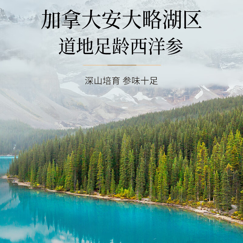 [初見系列]西洋参+铁皮 石斛-C高清大图