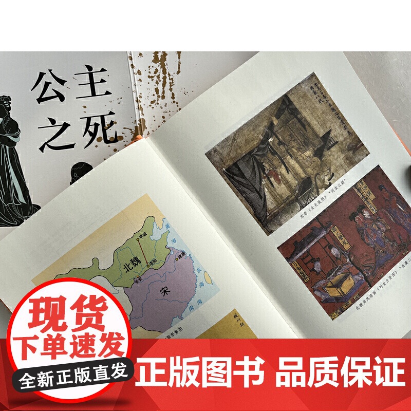 公主之死:你所不知道的中国法律史(北大教授罗新)高清大图