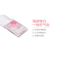 CANMAKE 井田 花瓣雕刻五色腮红 6g 02 哑光桃粉 色泽持久
