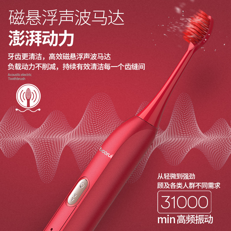 铂瑞 成人电动牙刷USB款BR-X1黑色
