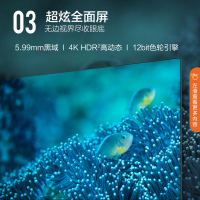 康佳智慧屏电视 55英寸 免遥控AI语音 超薄全面屏 一键投屏 4K超高清 智能网络教育 液晶平板电视机55G5U